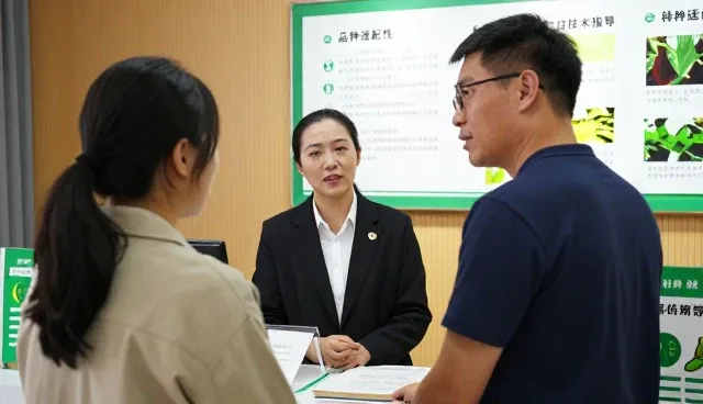 提升种苗质量的关键路径与农业技术服务实践